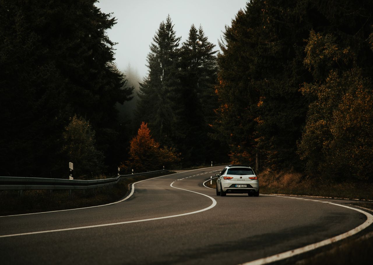 A silver car navigates a winding road through a misty autumn forest, evoking a sense of adventure and travel.